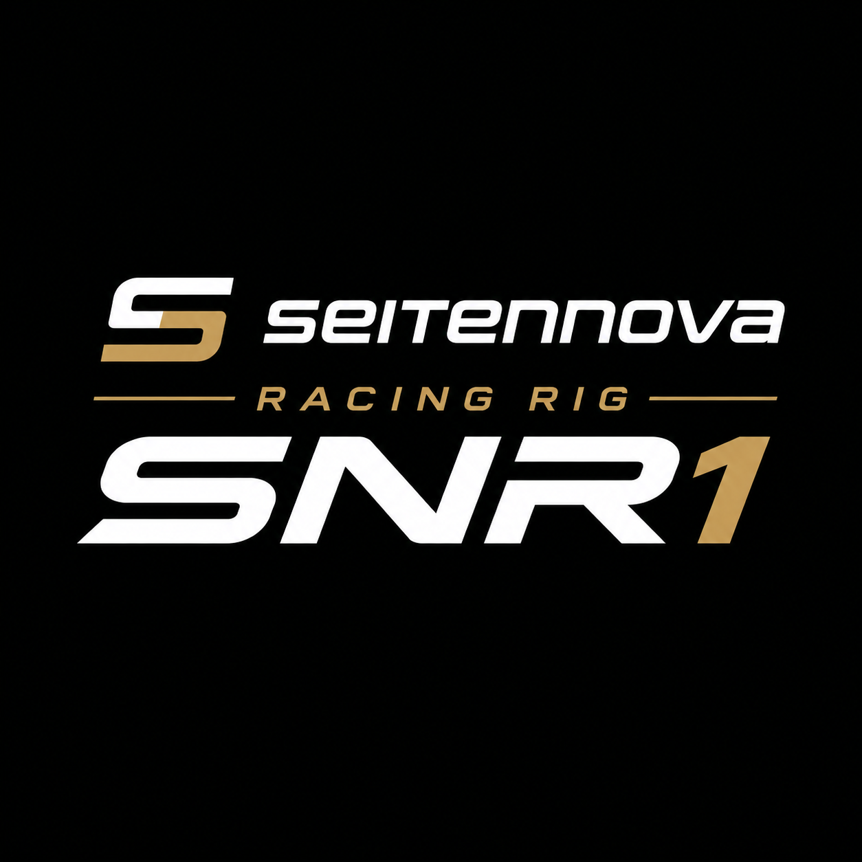 SeitenNova Racing Rig SNR1